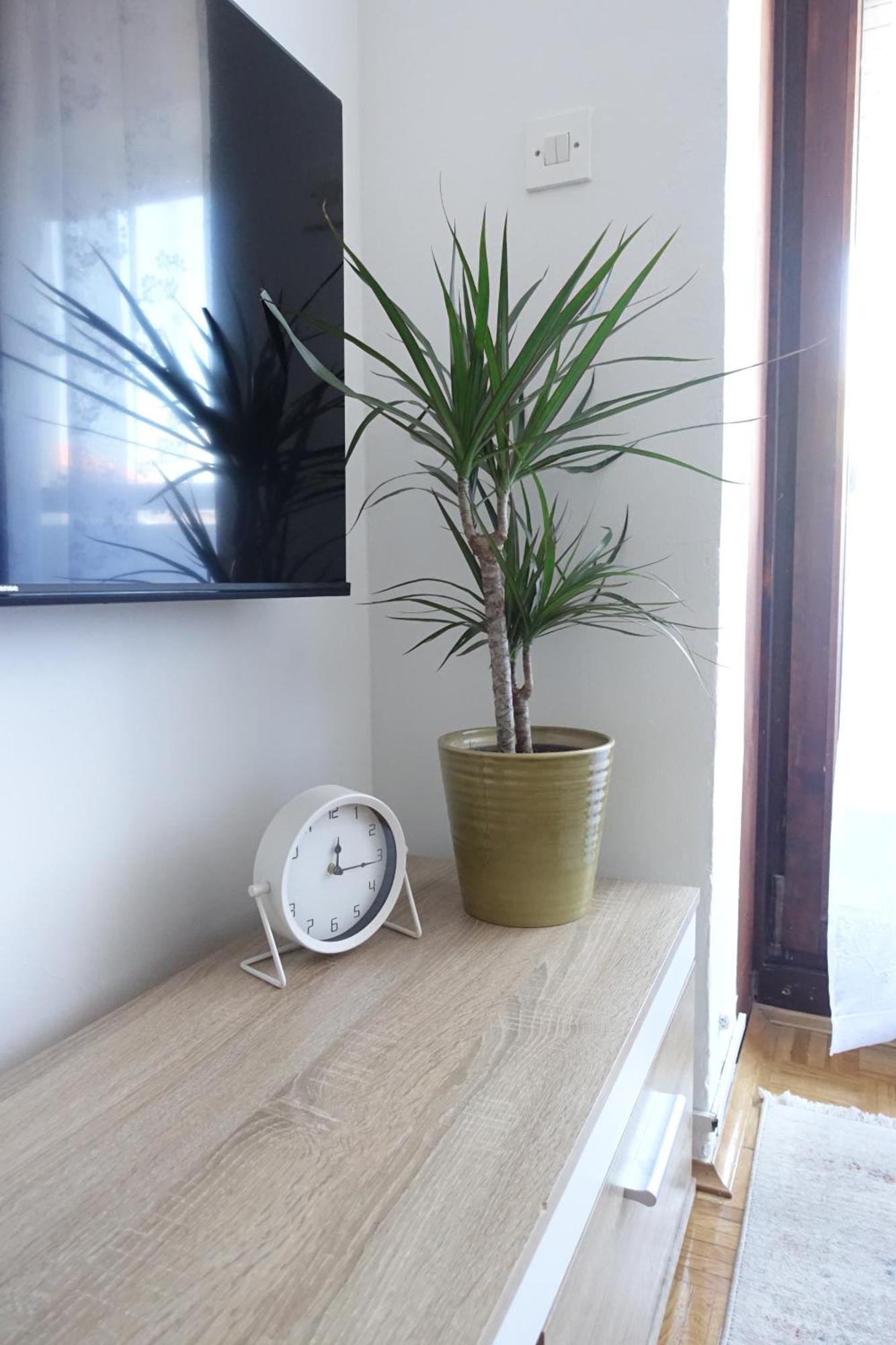 Apartman Tamara Zadar Extérieur photo